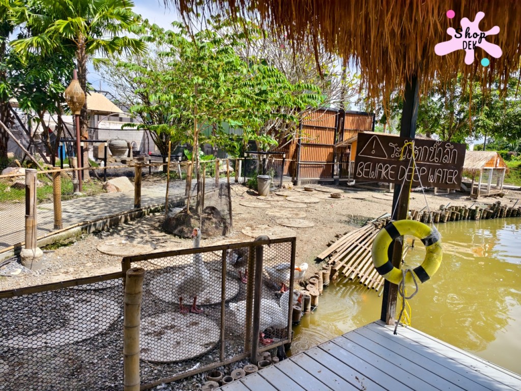 รีวิวหล่อเลี้ยงฟาร์ม ฟาร์มคาเฟ่นครปฐม มีเด็กไม่ควรพลาด