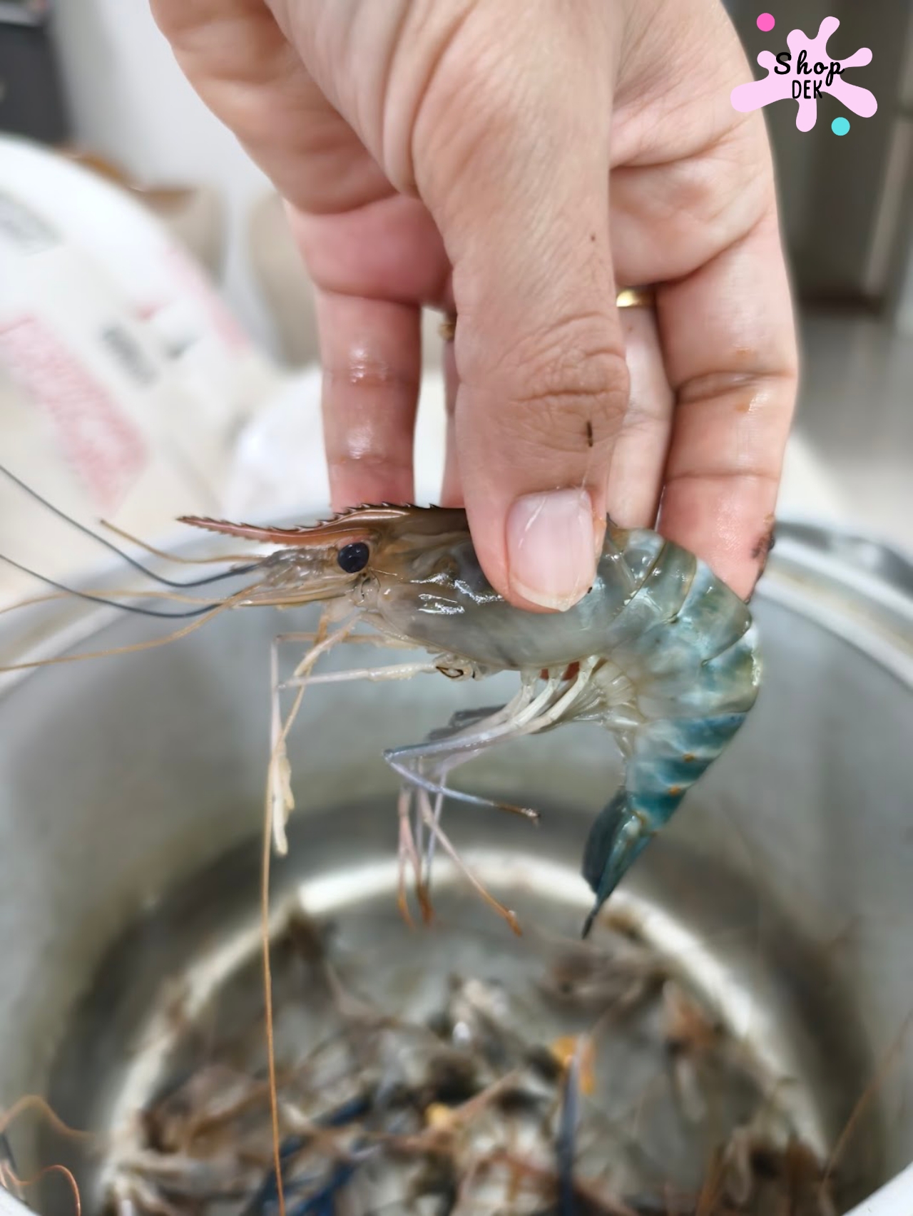 “กุ้งทอดซอสมะขาม” เมนูที่ใครคิดว่าทำยาก แต่ทำง่ายมาก