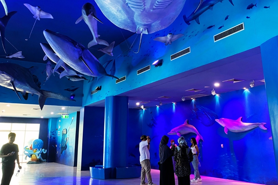 ศูนย์เรียนรู้โลกใต้ทะเลบางแสนแหล่งท่องเที่ยวและศึกษาธรรมชาติทางทะเล