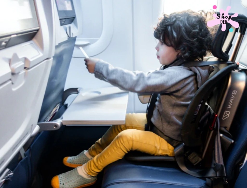 เบาะเสริมเด็กบนเครื่องบิน ยี่ห้อไหนดี ถือขึ้นเครื่องได้ไหม