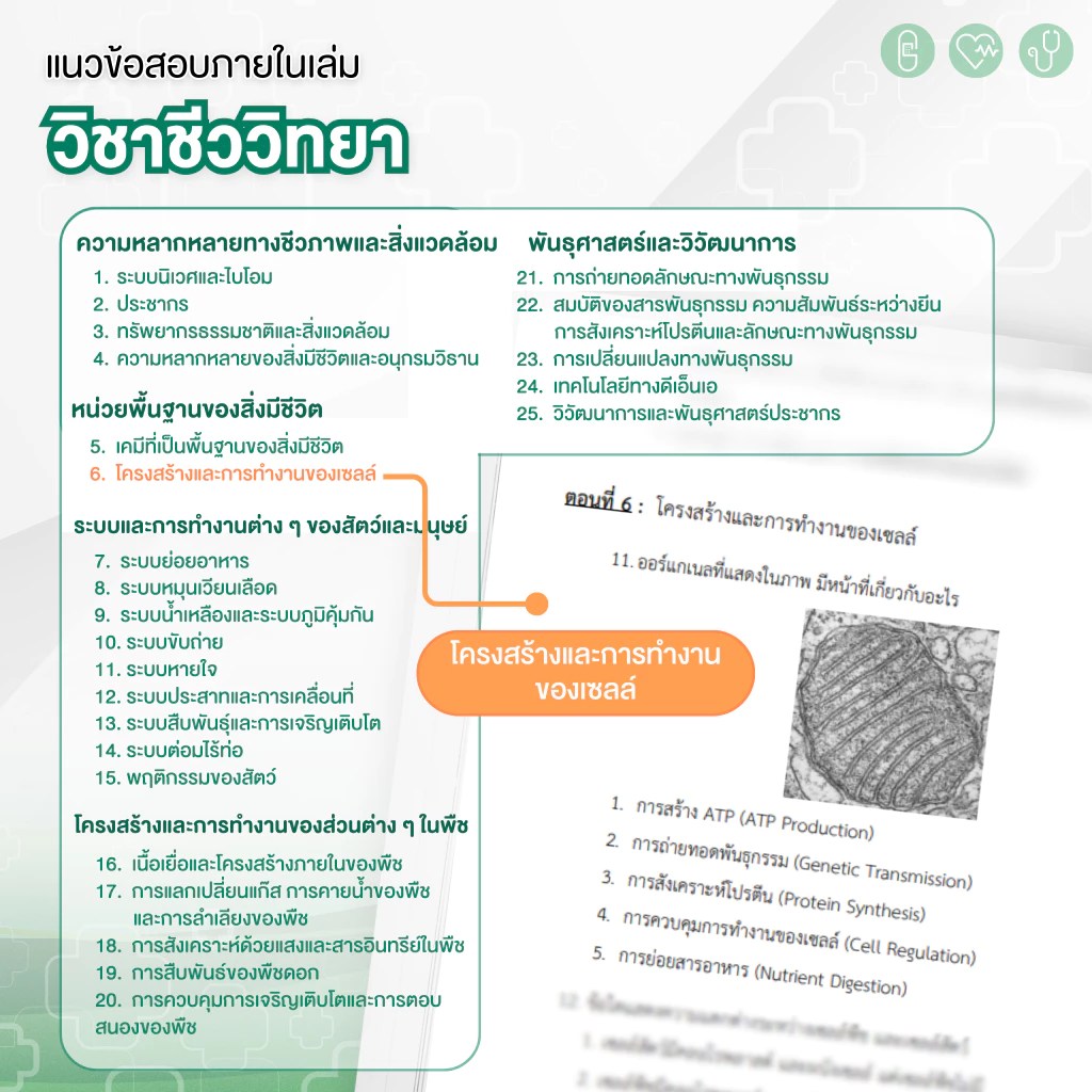 ส่งฟรี ! หนังสือเตรียมสอบสายแพทย์ พร้อมคอร์สติว 40 ชม. ลดพิเศษ 65%