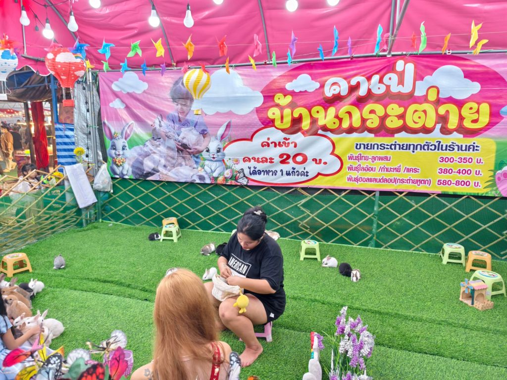 พาเที่ยวงานกาชาดบางบัวทอง ครบรอบ 123 ปี 2568