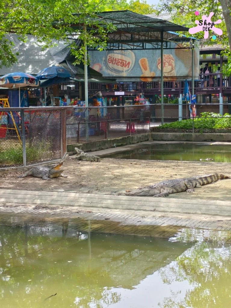 ฟาร์มจระเข้สามพราน 2025