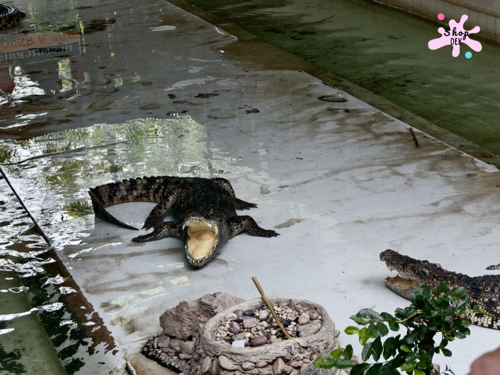 ฟาร์มจระเข้สามพราน 2025