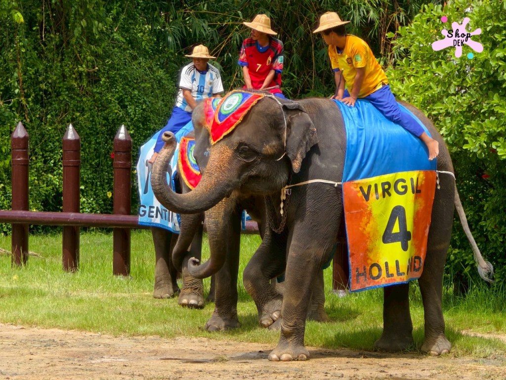 ฟาร์มจระเข้สามพราน 2025