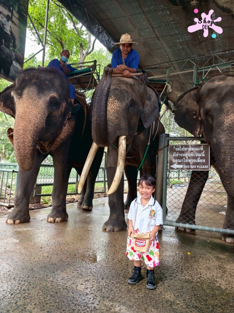 ฟาร์มจระเข้สามพราน 2025