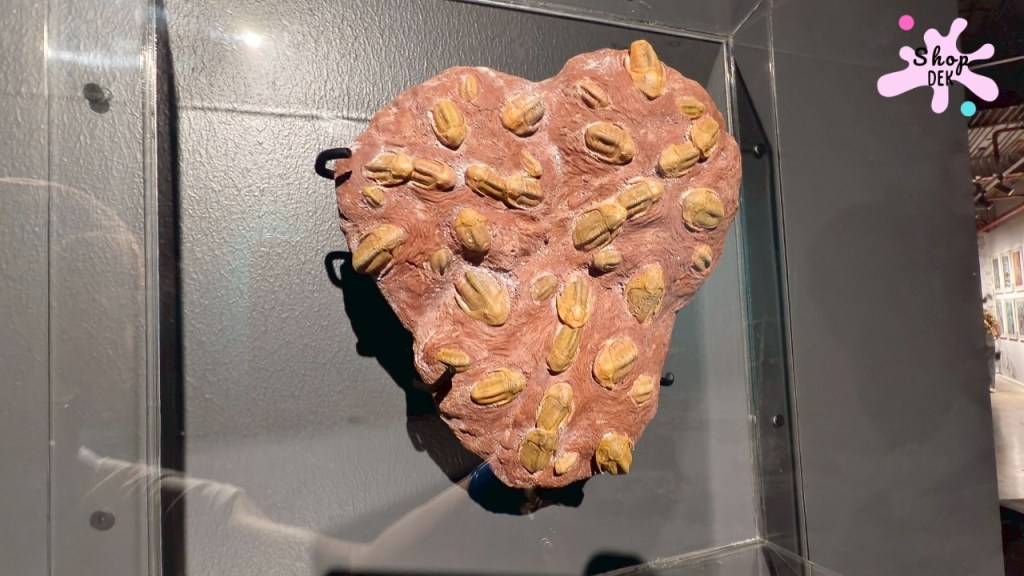 ไปดูไดโนเสาร์ที่งาน THAINOSAUR @ Museum Pier ท่าช้าง!