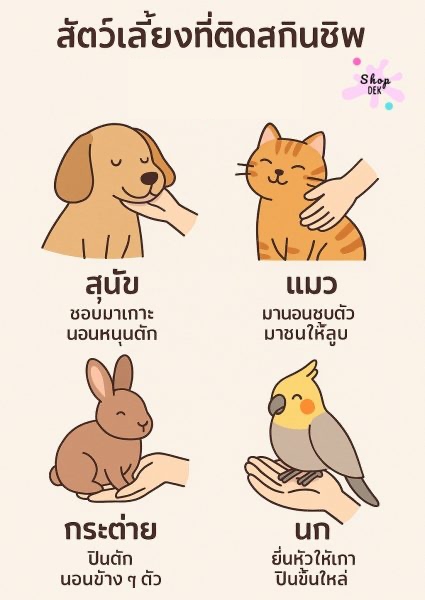 5 สัตว์อะไรบ้างติดสกินชิพ เด็กๆ ชอบ