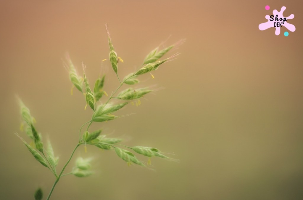 อาการแพ้ฝุ่น แพ้ PM2.5 อันตรายมากแค่ไหน?