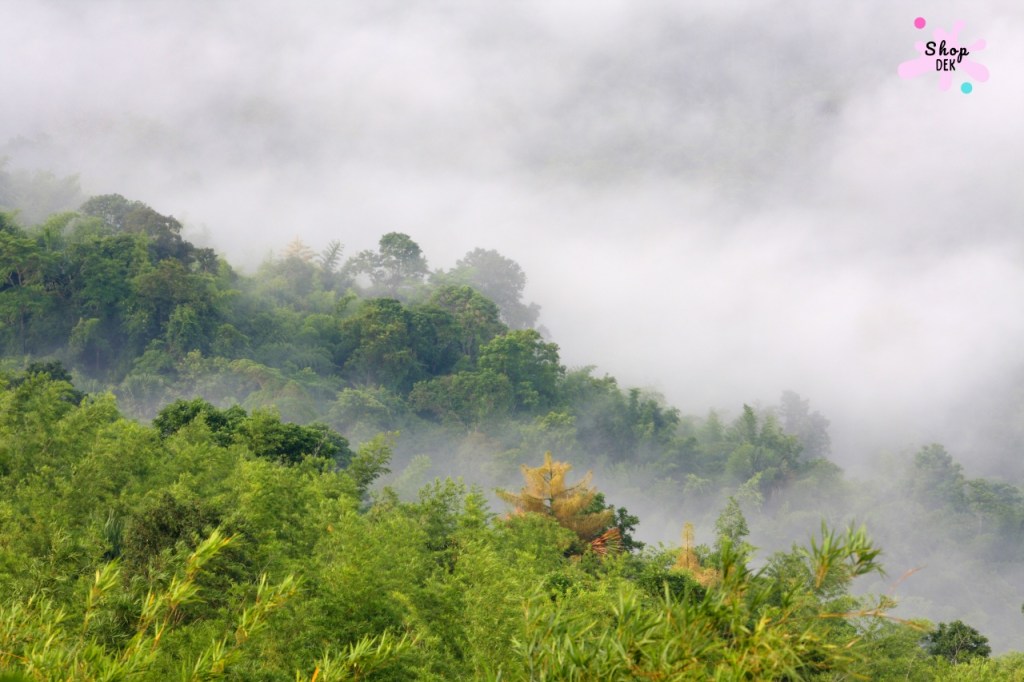 ที่เที่ยววังน้ำเขียว - อุทยานแห่งชาติทับลาน