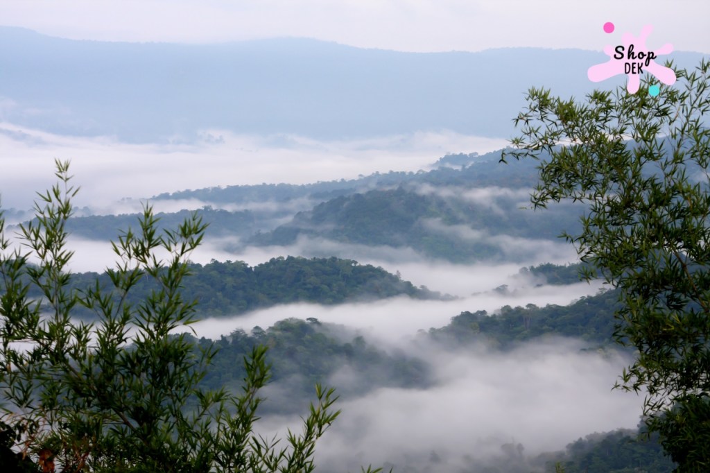 10 ที่เที่ยววังน้ำเขียว สวิตเซอร์แลนด์แดนอีสาน