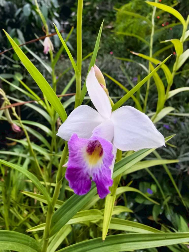 จุดประกายนักวิทยาศาสตร์รุ่นเยาว์ ที่พิพิธภัณฑ์ตอนกลางคืน คณะวิทยาศาสตร์ จุฬาฯ