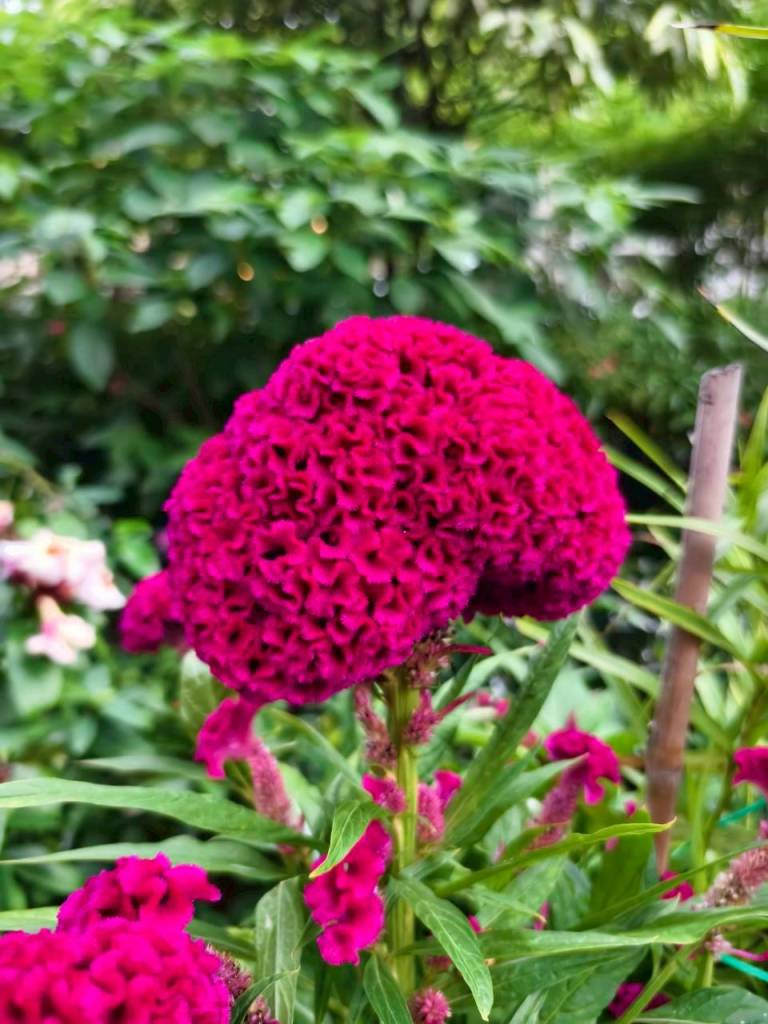 จุดประกายนักวิทยาศาสตร์รุ่นเยาว์ ที่พิพิธภัณฑ์ตอนกลางคืน คณะวิทยาศาสตร์ จุฬาฯ