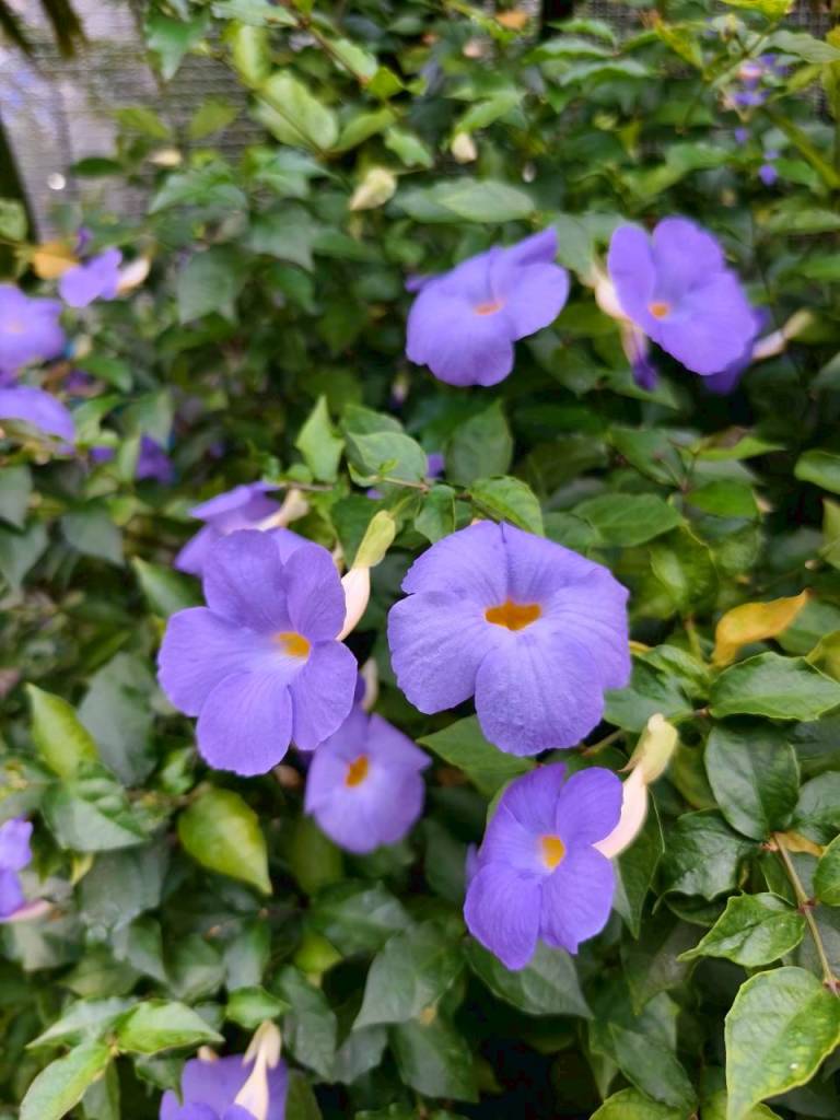 จุดประกายนักวิทยาศาสตร์รุ่นเยาว์ ที่พิพิธภัณฑ์ตอนกลางคืน คณะวิทยาศาสตร์ จุฬาฯ