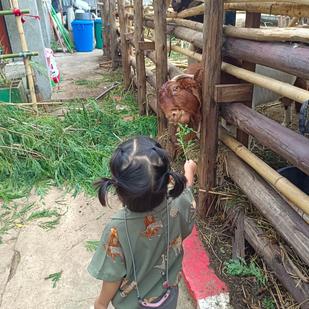 รีวิว บางใหญ่อิงลิชวิลเลจ (Bangui English Village)