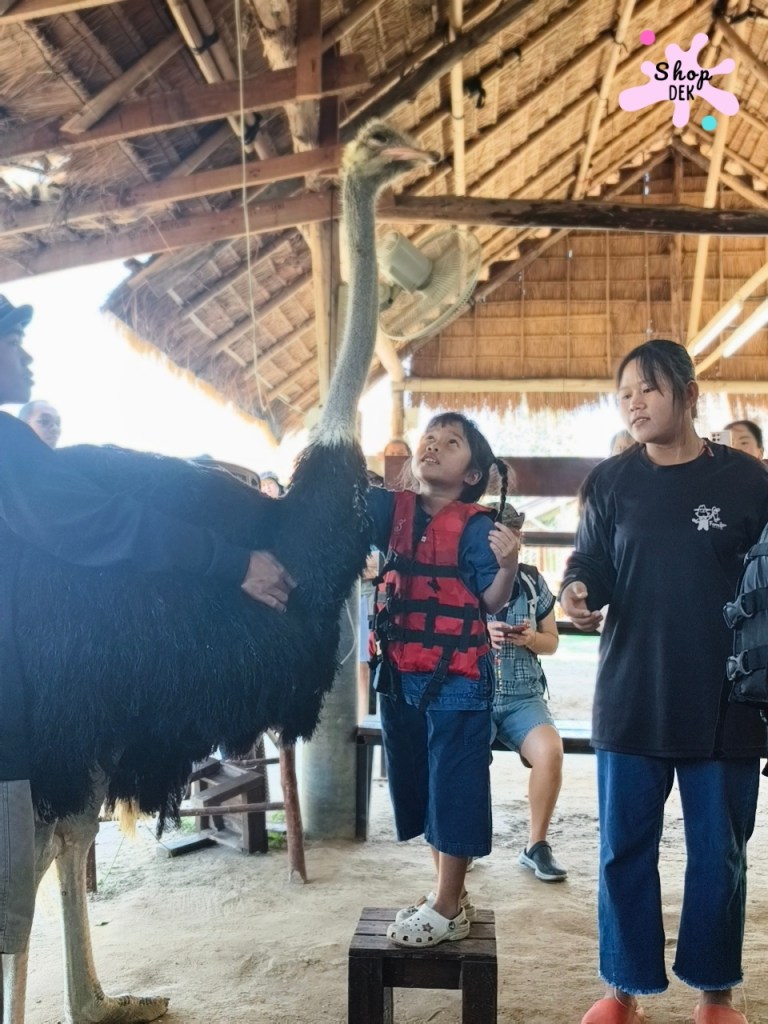 รีวิวฟาร์มลุงอ้วน