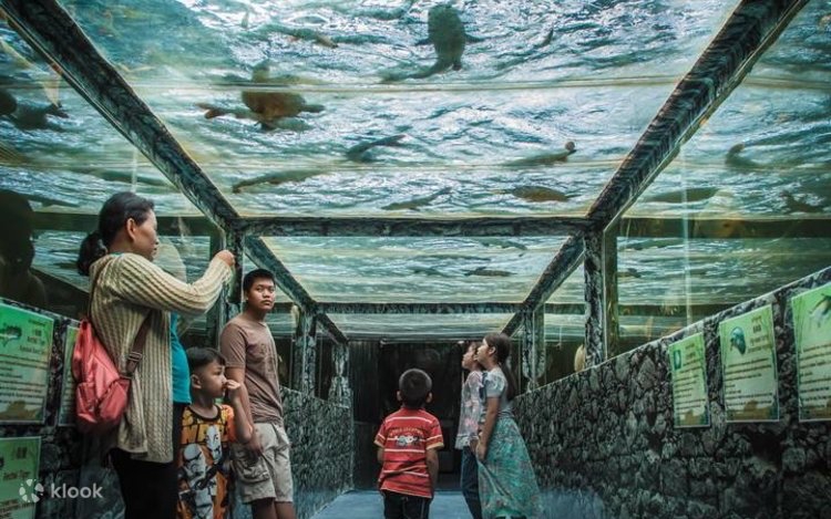 Monsters Aquarium - พัทยา