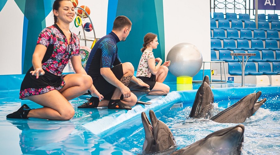 Dolphinarium Pattaya - พัทยา