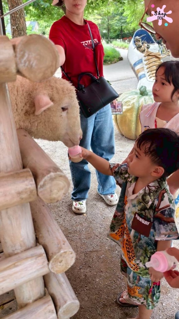 ที่เที่ยวสวนผึ้ง,ที่เที่ยวสวนผึ้งแนวครอบครัว,ที่เที่ยวสวนผึ้งไปกลับ,เดอะ ซีนเนอร์รี่ วินเทจ ฟาร์ม, The Scenery Vintage Farm มีกิจกรรมอะไรบ้าง,The Scenery Vintage Farm เสียค่าเข้าไหม