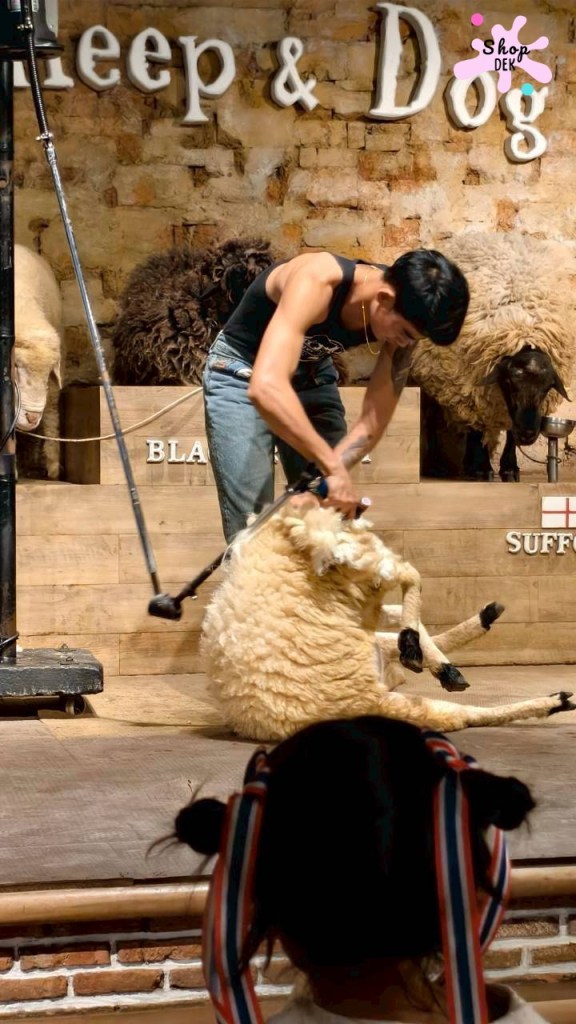 ที่เที่ยวสวนผึ้ง,ที่เที่ยวสวนผึ้งแนวครอบครัว,ที่เที่ยวสวนผึ้งไปกลับ,เดอะ ซีนเนอร์รี่ วินเทจ ฟาร์ม, The Scenery Vintage Farm มีกิจกรรมอะไรบ้าง,The Scenery Vintage Farm เสียค่าเข้าไหม