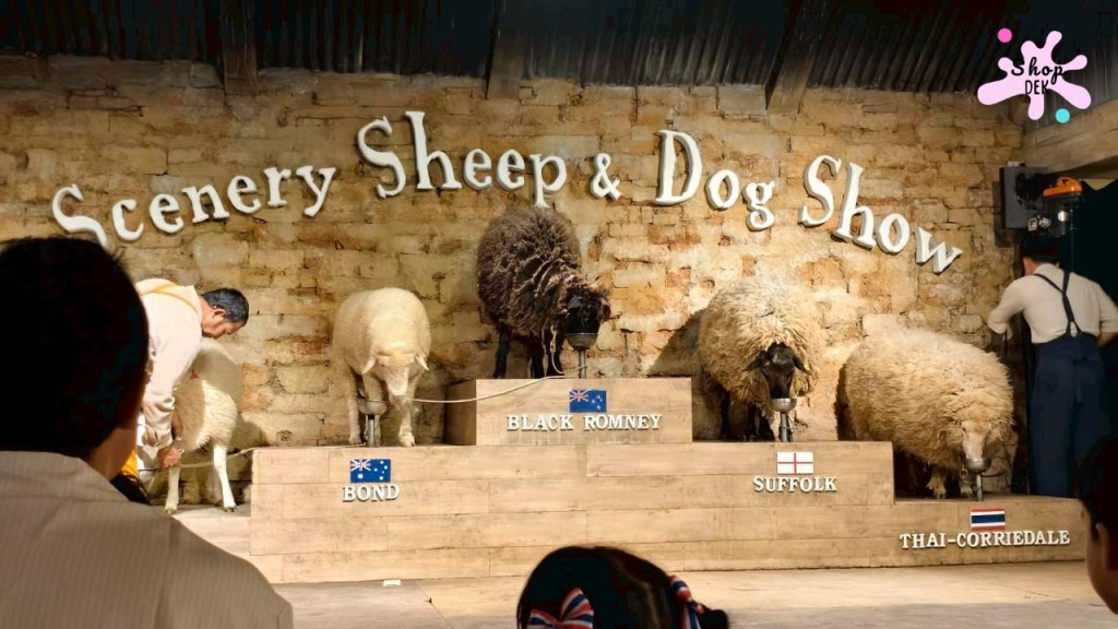 ที่เที่ยวสวนผึ้ง,ที่เที่ยวสวนผึ้งแนวครอบครัว,ที่เที่ยวสวนผึ้งไปกลับ,เดอะ ซีนเนอร์รี่ วินเทจ ฟาร์ม, The Scenery Vintage Farm มีกิจกรรมอะไรบ้าง,The Scenery Vintage Farm เสียค่าเข้าไหม