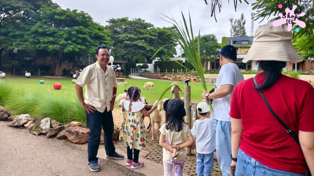 ที่เที่ยวสวนผึ้ง,ที่เที่ยวสวนผึ้งแนวครอบครัว,ที่เที่ยวสวนผึ้งไปกลับ,เดอะ ซีนเนอร์รี่ วินเทจ ฟาร์ม, The Scenery Vintage Farm มีกิจกรรมอะไรบ้าง,The Scenery Vintage Farm เสียค่าเข้าไหม