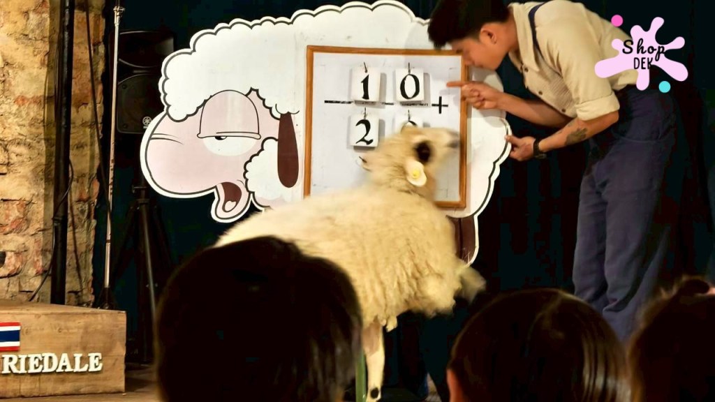 ที่เที่ยวสวนผึ้ง,ที่เที่ยวสวนผึ้งแนวครอบครัว,ที่เที่ยวสวนผึ้งไปกลับ,เดอะ ซีนเนอร์รี่ วินเทจ ฟาร์ม, The Scenery Vintage Farm มีกิจกรรมอะไรบ้าง,The Scenery Vintage Farm เสียค่าเข้าไหม