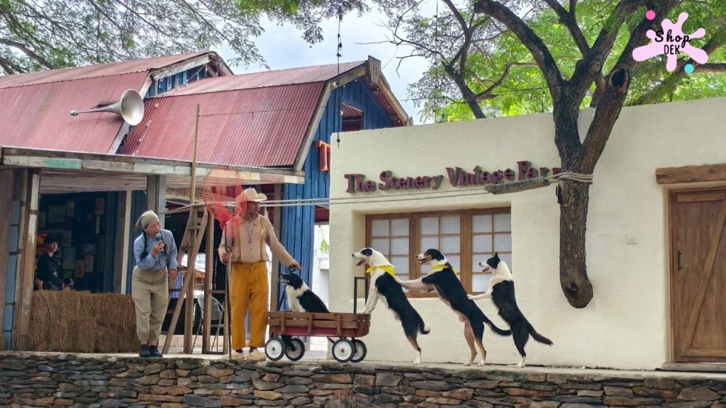 ที่เที่ยวสวนผึ้ง,ที่เที่ยวสวนผึ้งแนวครอบครัว,ที่เที่ยวสวนผึ้งไปกลับ,เดอะ ซีนเนอร์รี่ วินเทจ ฟาร์ม, The Scenery Vintage Farm มีกิจกรรมอะไรบ้าง,The Scenery Vintage Farm เสียค่าเข้าไหม