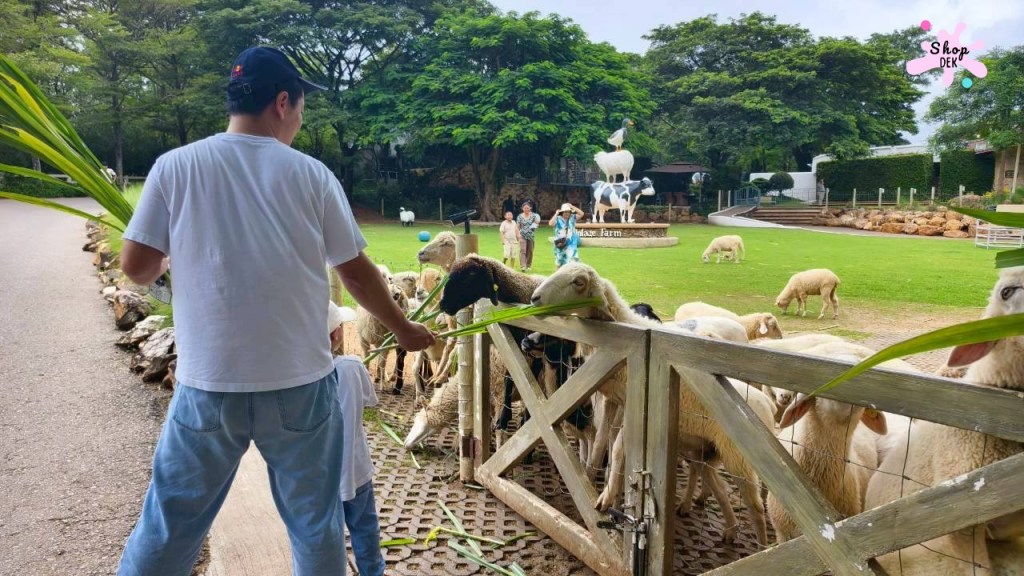 ที่เที่ยวสวนผึ้ง,ที่เที่ยวสวนผึ้งแนวครอบครัว,ที่เที่ยวสวนผึ้งไปกลับ,เดอะ ซีนเนอร์รี่ วินเทจ ฟาร์ม, The Scenery Vintage Farm มีกิจกรรมอะไรบ้าง,The Scenery Vintage Farm เสียค่าเข้าไหม