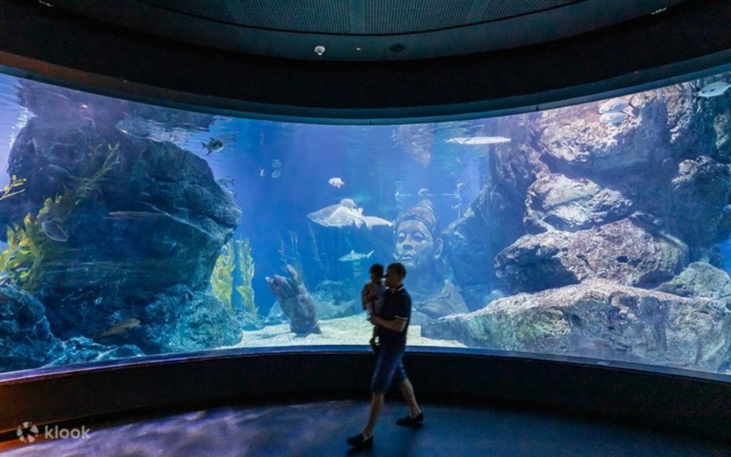 ดูนกเพนกวินได้ที่ Sea Life Bangkok Ocean World (กรุงเทพฯ)