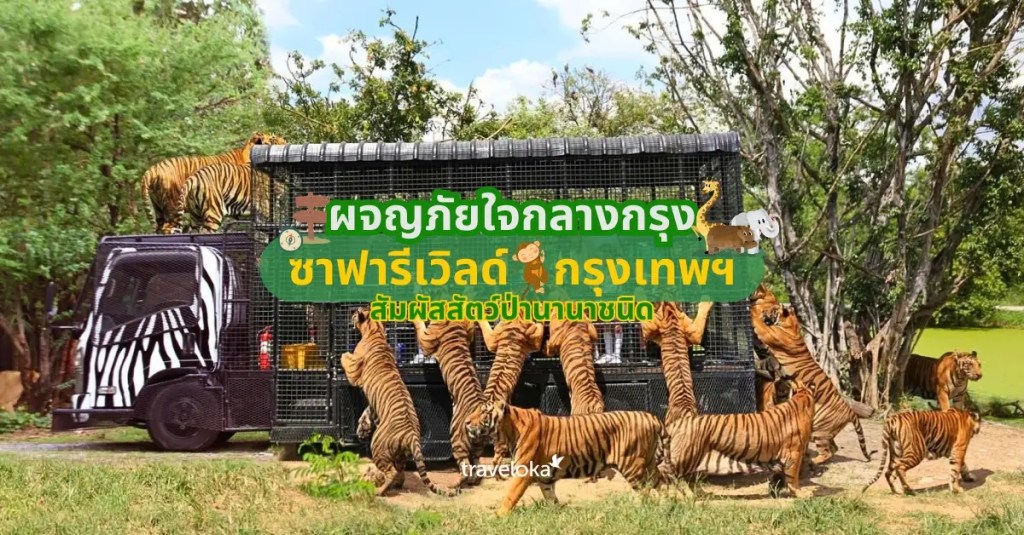 1. ซาฟารีเวิลด์ (Safari World) - กรุงเทพฯ