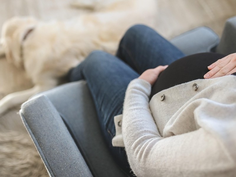 วิธีนับวันไข่ตก สำหรับสังเกตอาการไข่ตกวางแผนตั้งครรภ์