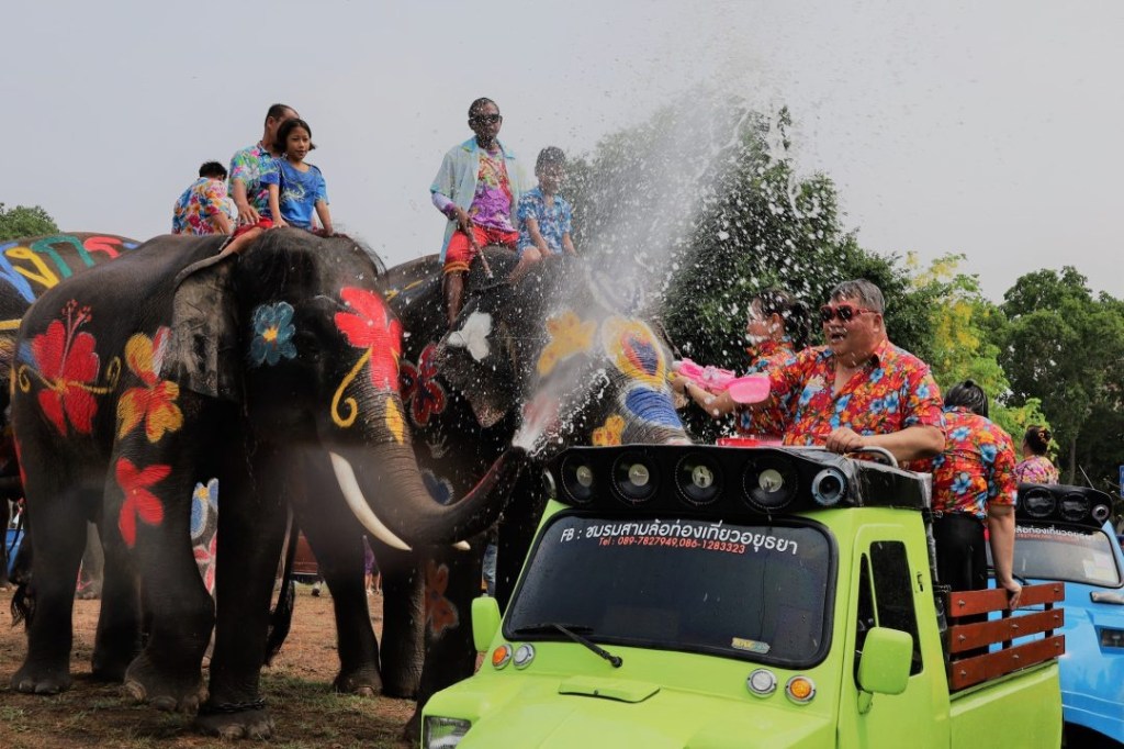 วังช้างแลพะเนียด (อยุธยา)