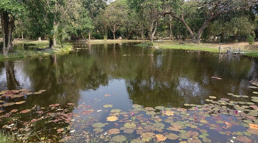 ที่เที่ยวชะอำ : วนอุทยานชะอำ