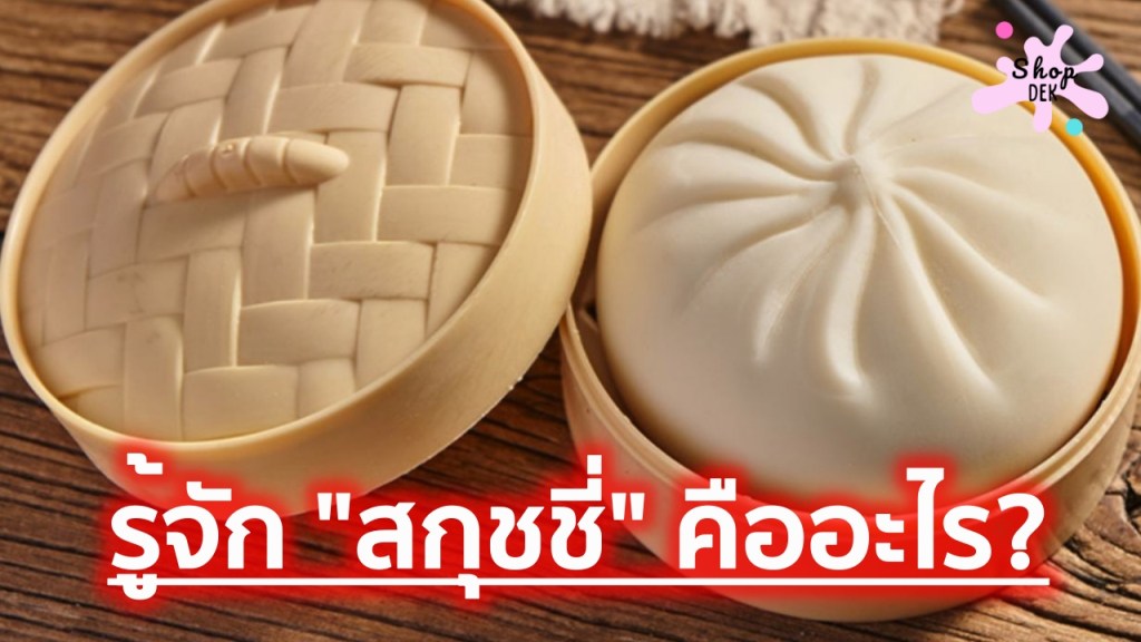 รู้ก่อน! สกุชชี่ คืออะไร อันตรายไหม? ของแท้ราคาเท่าไหร่