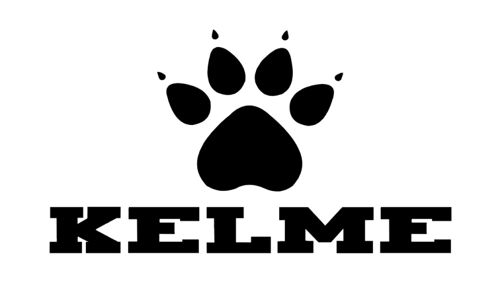 เสื้อบอลโลก kelme
