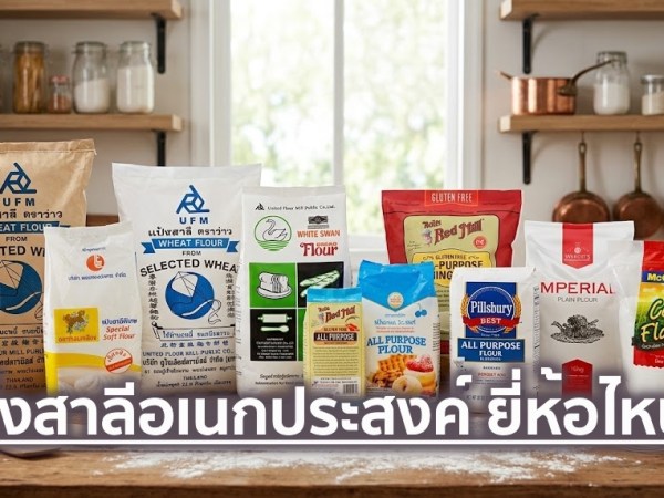 10 แป้งสาลีอเนกประสงค์ทำอาหาร ยี่ห้อไหนดี ปี 2026 ใช้ทำอาหาร ชุบแป้ง ทำขนม&nbsp;จบในถุงเดียว