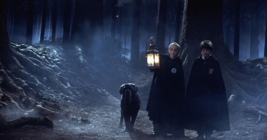 ป่าต้องห้าม (The Forbidden Forest) 