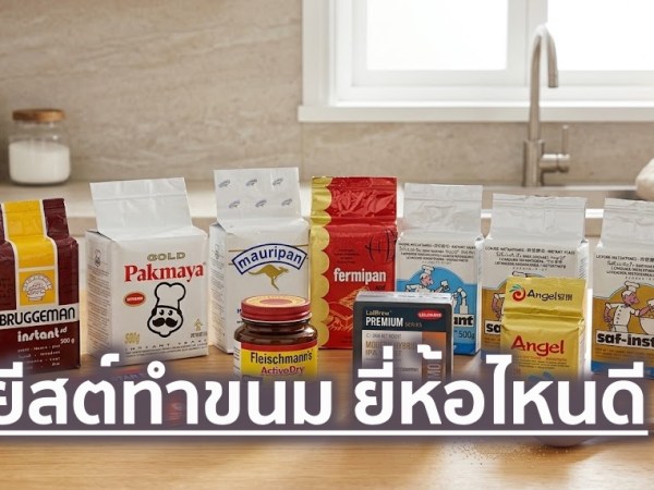 10 ยีสต์ทำขนม ยี่ห้อไหนดี ปี 2026 สำหรับขนมปัง&nbsp;และเบเกอรี่