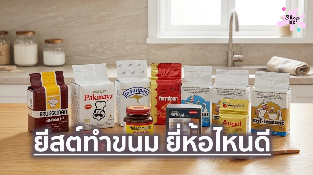10 ยีสต์ทำขนม ยี่ห้อไหนดี ปี 2026 สำหรับขนมปัง&nbsp;และเบเกอรี่