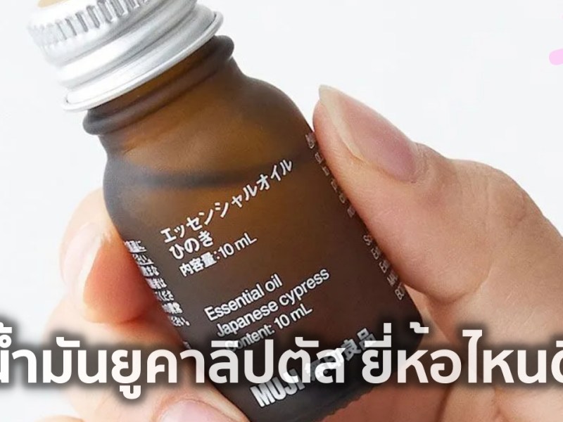 10 น้ำมันยูคาลิปตัส ยี่ห้อไหนดี&nbsp;พร้อมวิธีใช้