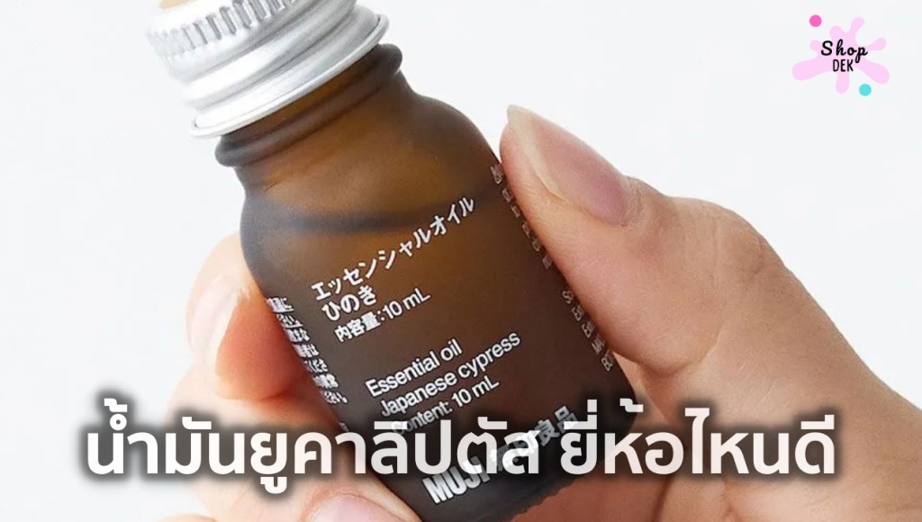 10 น้ำมันยูคาลิปตัส ยี่ห้อไหนดี พร้อมวิธีใช้